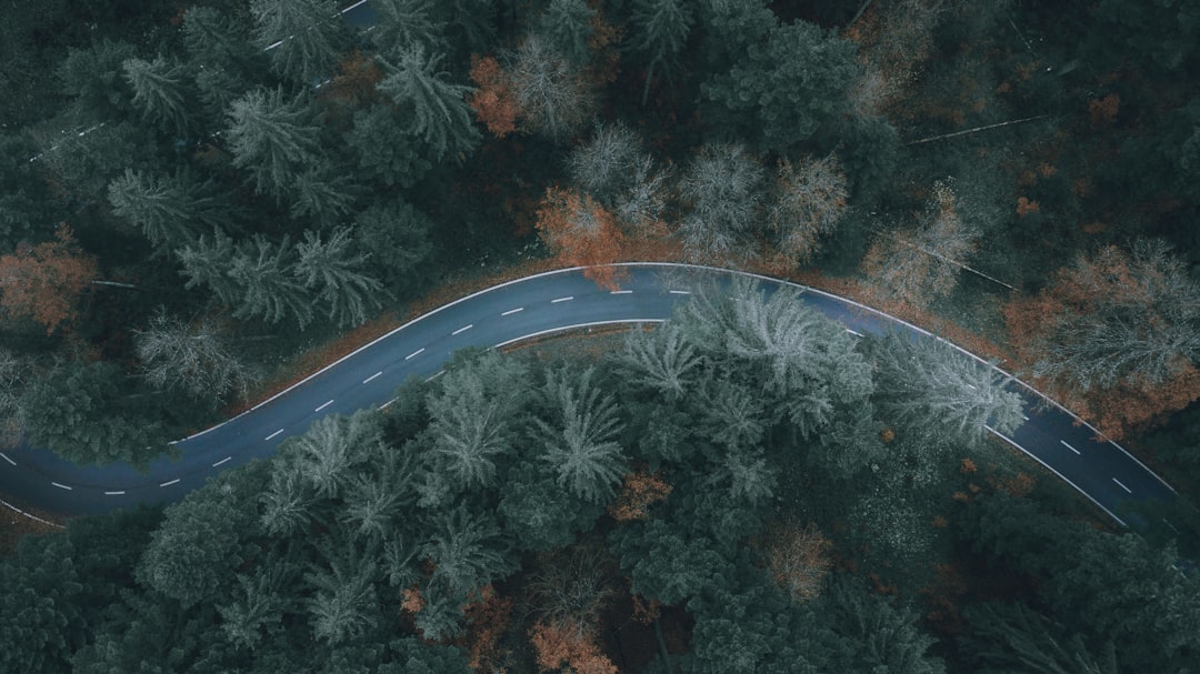 Uygulamalar için MVP yol haritası görseli